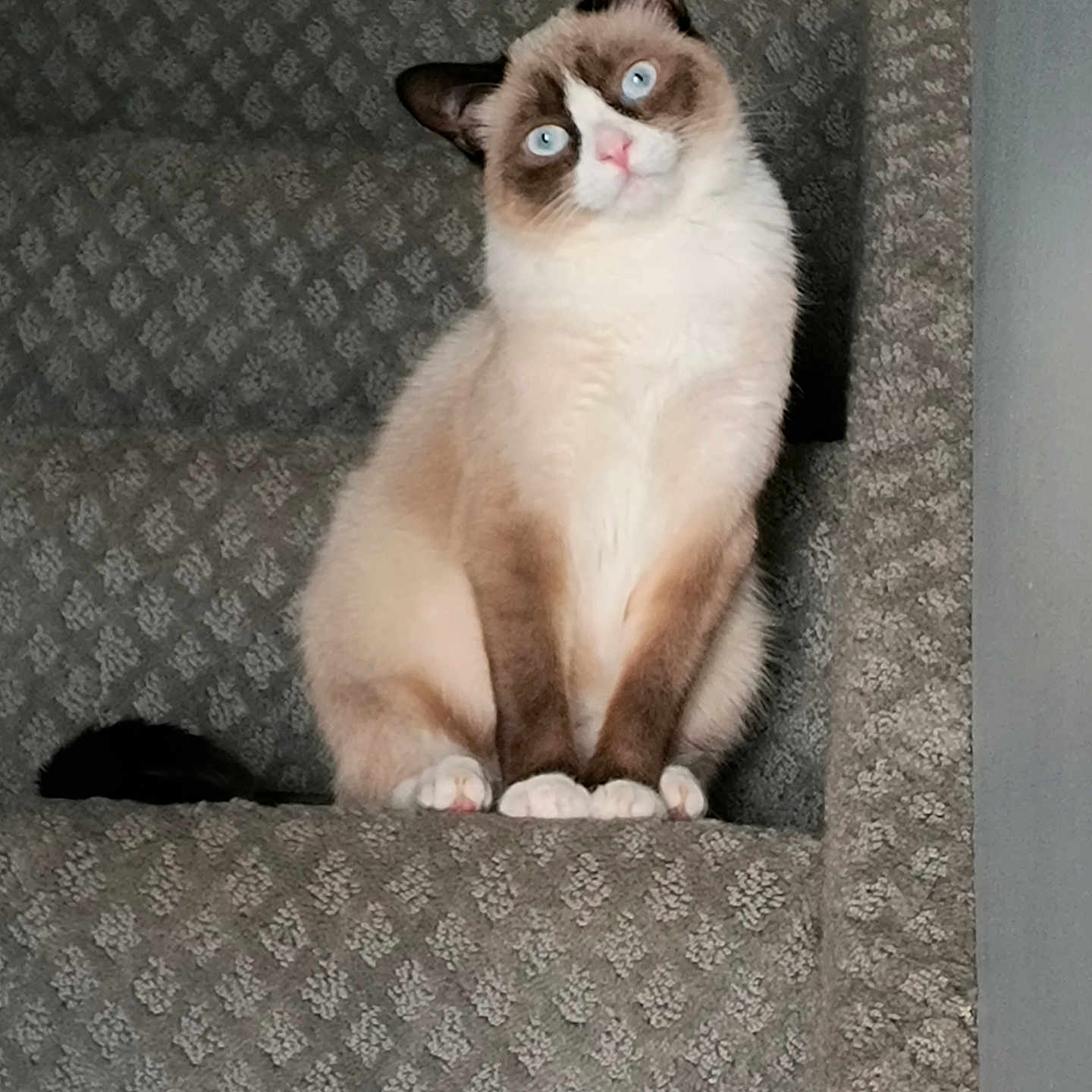 Mizu