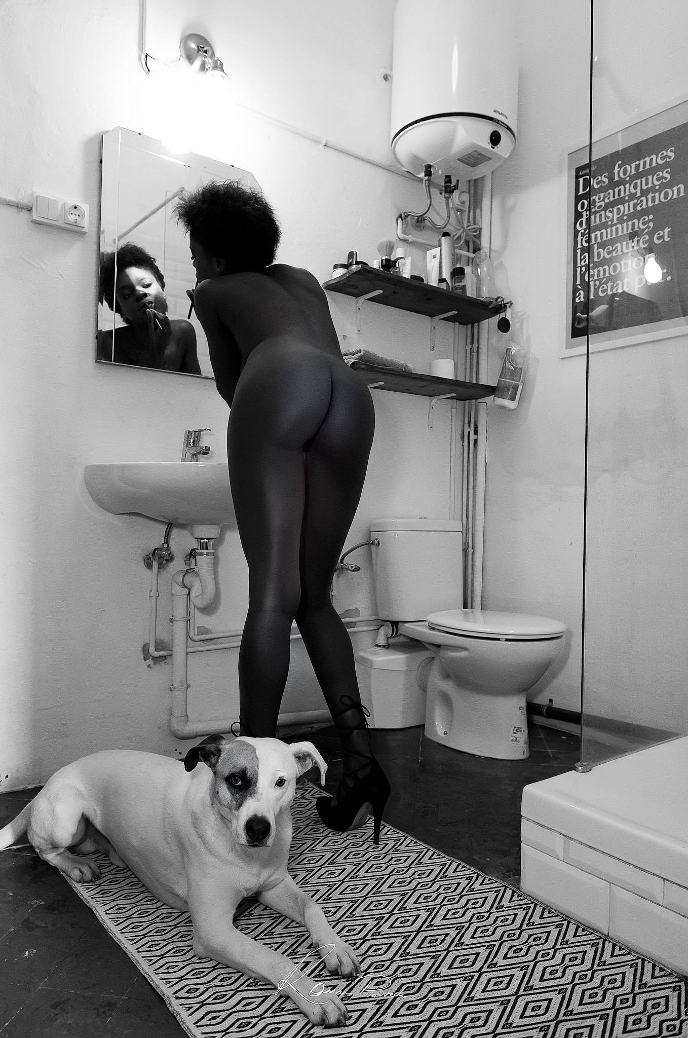 Milán a rejoint le concours — aidez-le/la à gagner de superbes lots ! beauty, black, black_and_white, carnivore, comfort, companion_dog, dog, dog_breed, flooring, interior_design, knee, lamp, lighting, monochrome, monochrome_photography, photograph, plumbing_fixture, style, thigh, white