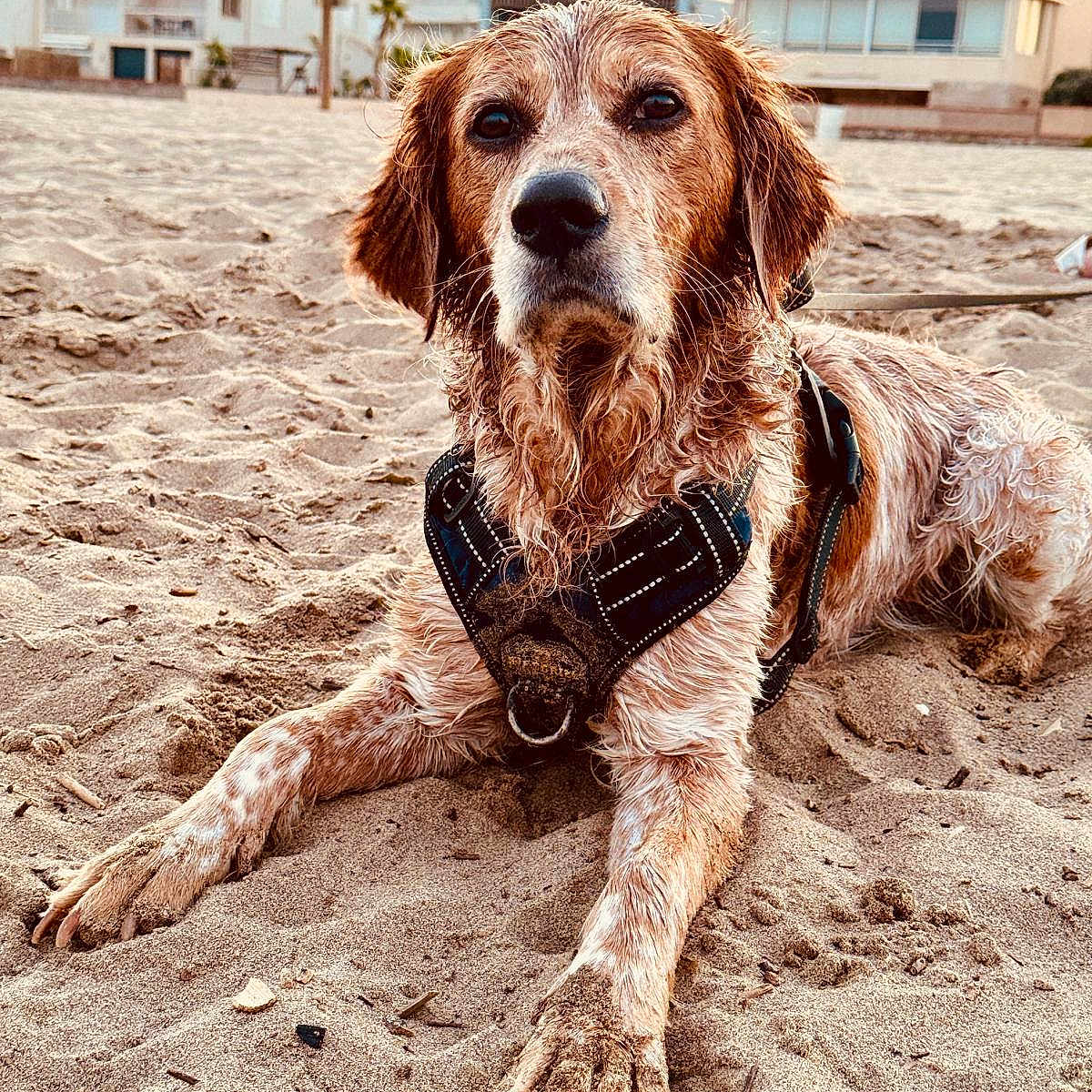 Rio