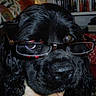 Eros participe au concours pour gagner de l'argent avec cette photo :
