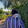 person, puppy, dog, golden_retriever, pet, outdoor, nature, greenery, tree, hedge, sunlight, street, house, stripes, shirt, back_view, shoulder, cute, companion, affection
