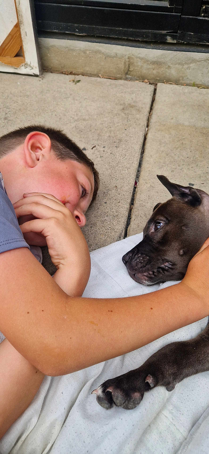 Ronnie joined the competition — help win amazing prizes! boy, dog, face, paw, arm, concrete, blanket, curious, closeup, interaction, pet, child, outdoor, animal, friendship, laying_down, expression, human, companion, trust