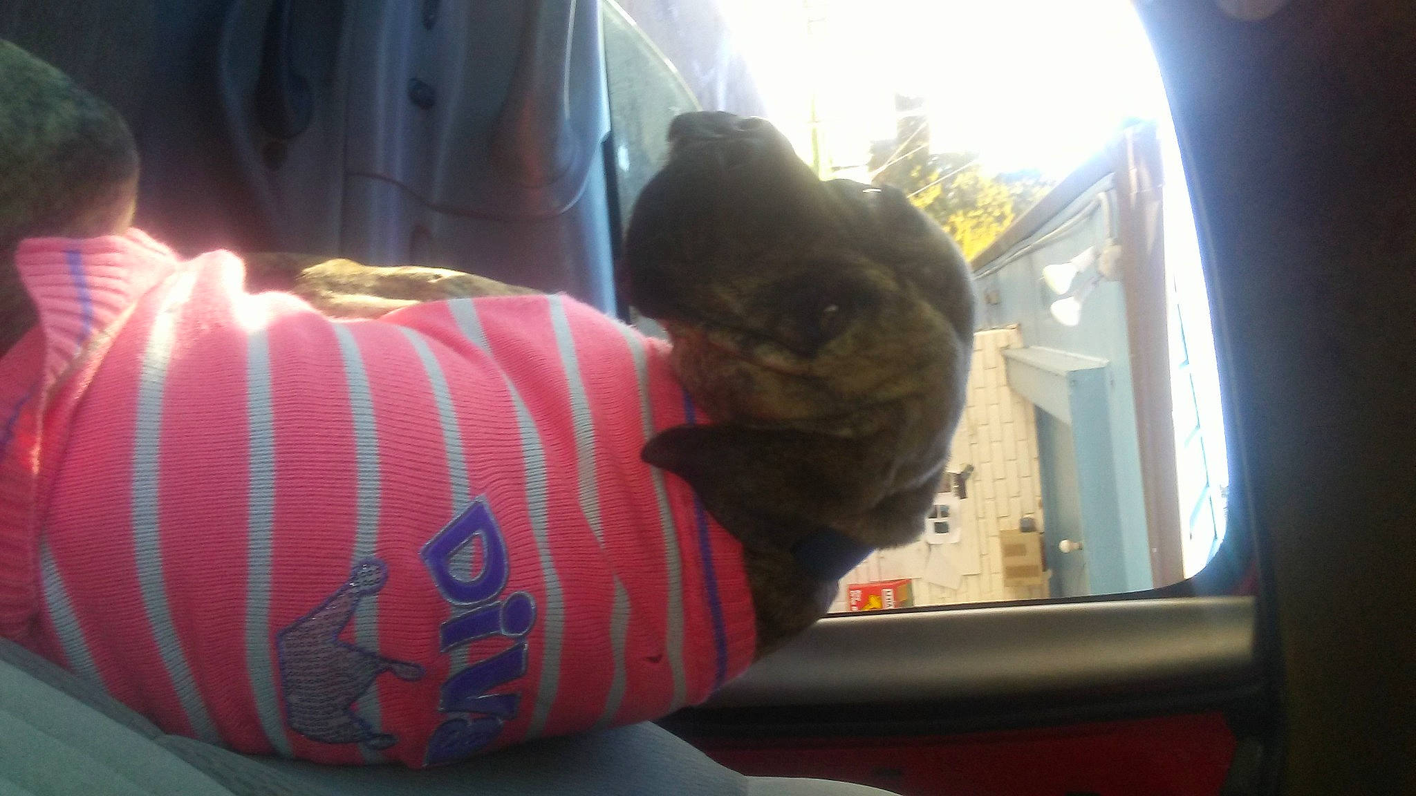 Karma is registered to the contest to win money with this photo: finger, mouth