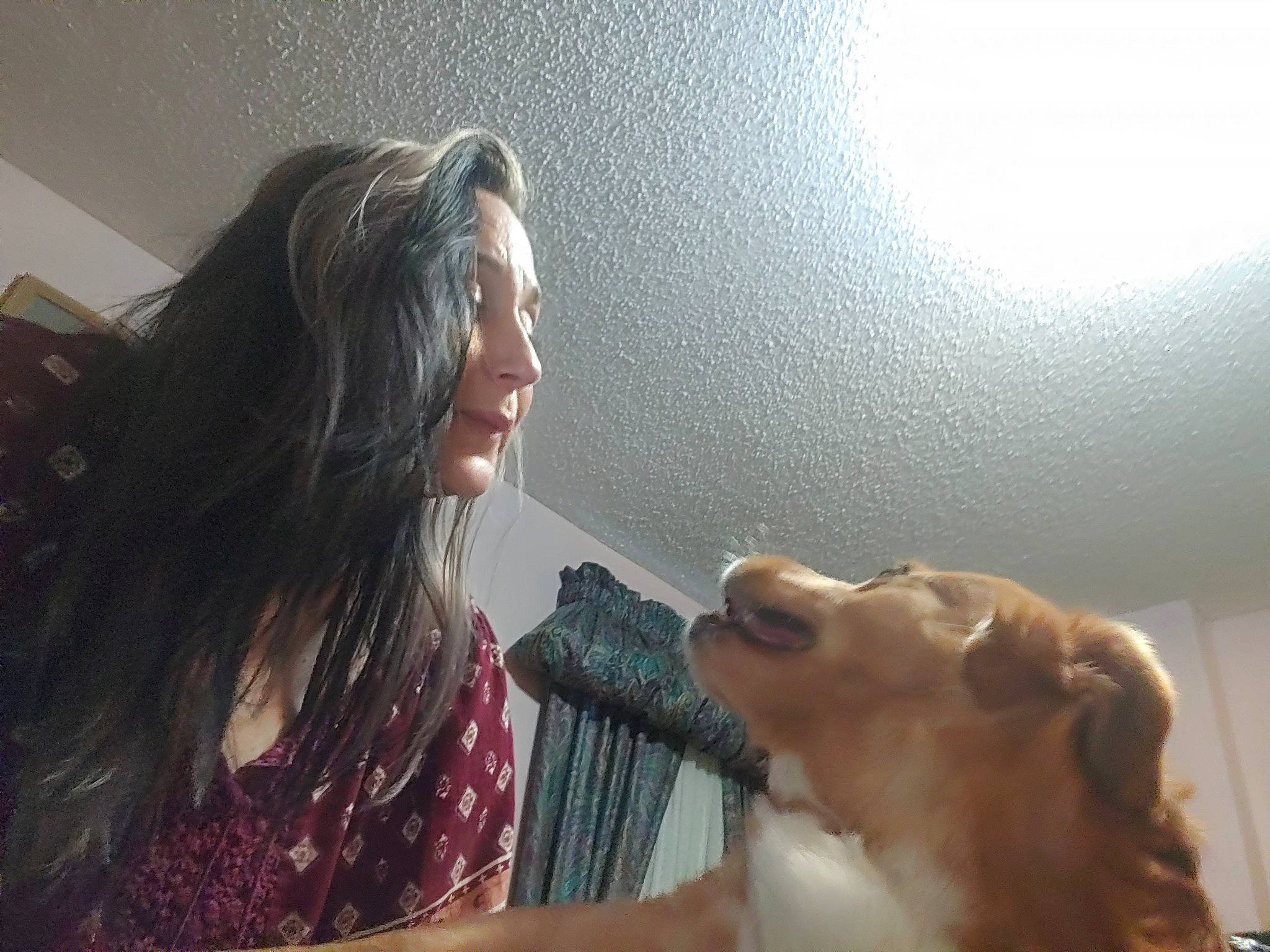 Precious is registered to the contest to win money with this photo: american_cocker_spaniel, canidae, carnivore, companion_dog, dog, dog_breed, english_cocker_spaniel, jaw, long_hair, photography, puppy_love, snout, sporting_group