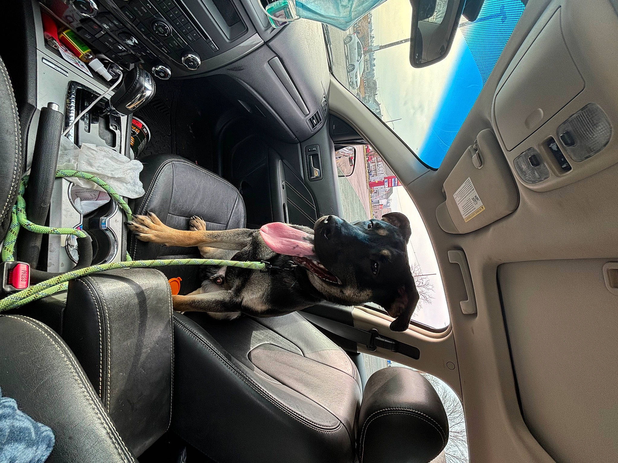 Pete Jones joined the competition — help win amazing prizes! air_travel, airline, auto_part, automotive_design, car, car_seat, car_seat_cover, family_car, head_restraint, luxury_vehicle, mode_of_transport, motor_vehicle, personal_luxury_car, plant, seat_belt, steering_part, steering_wheel, vehicle, vehicle_door, window