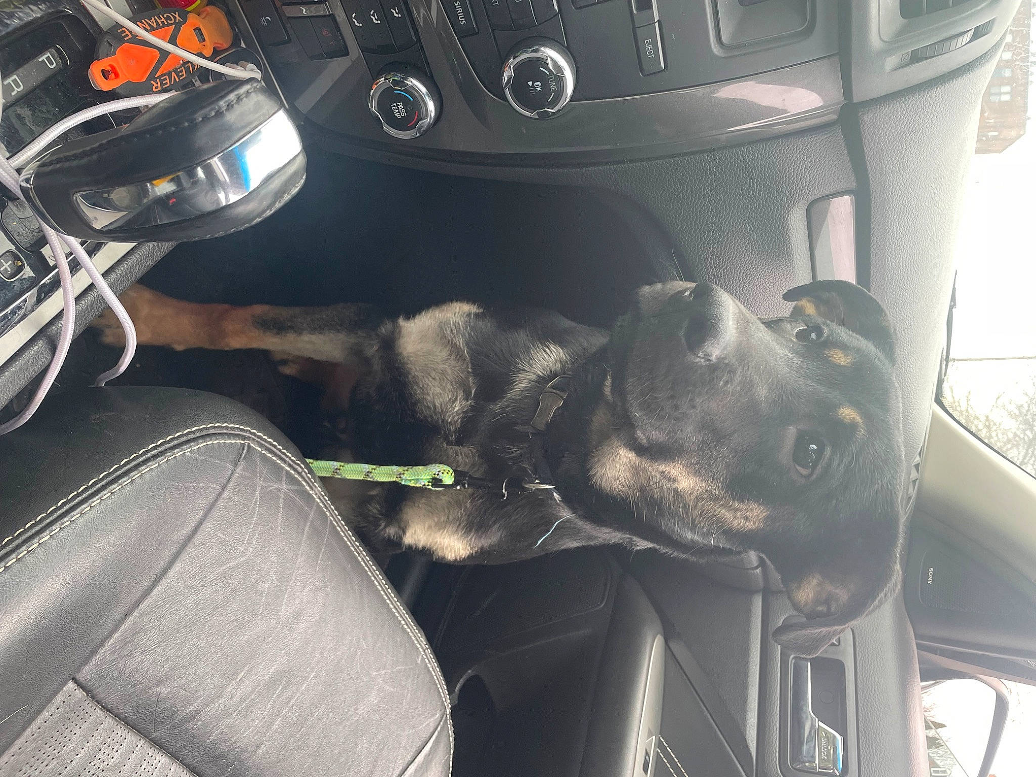 Pete Jones joined the competition — help win amazing prizes! auto_part, automotive_design, automotive_exterior, automotive_tire, automotive_wheel_system, car, car_seat, car_seat_cover, carnivore, dog, family_car, gauge, gear_shift, motor_vehicle, personal_luxury_car, speedometer, steering_part, steering_wheel, vehicle, vehicle_door