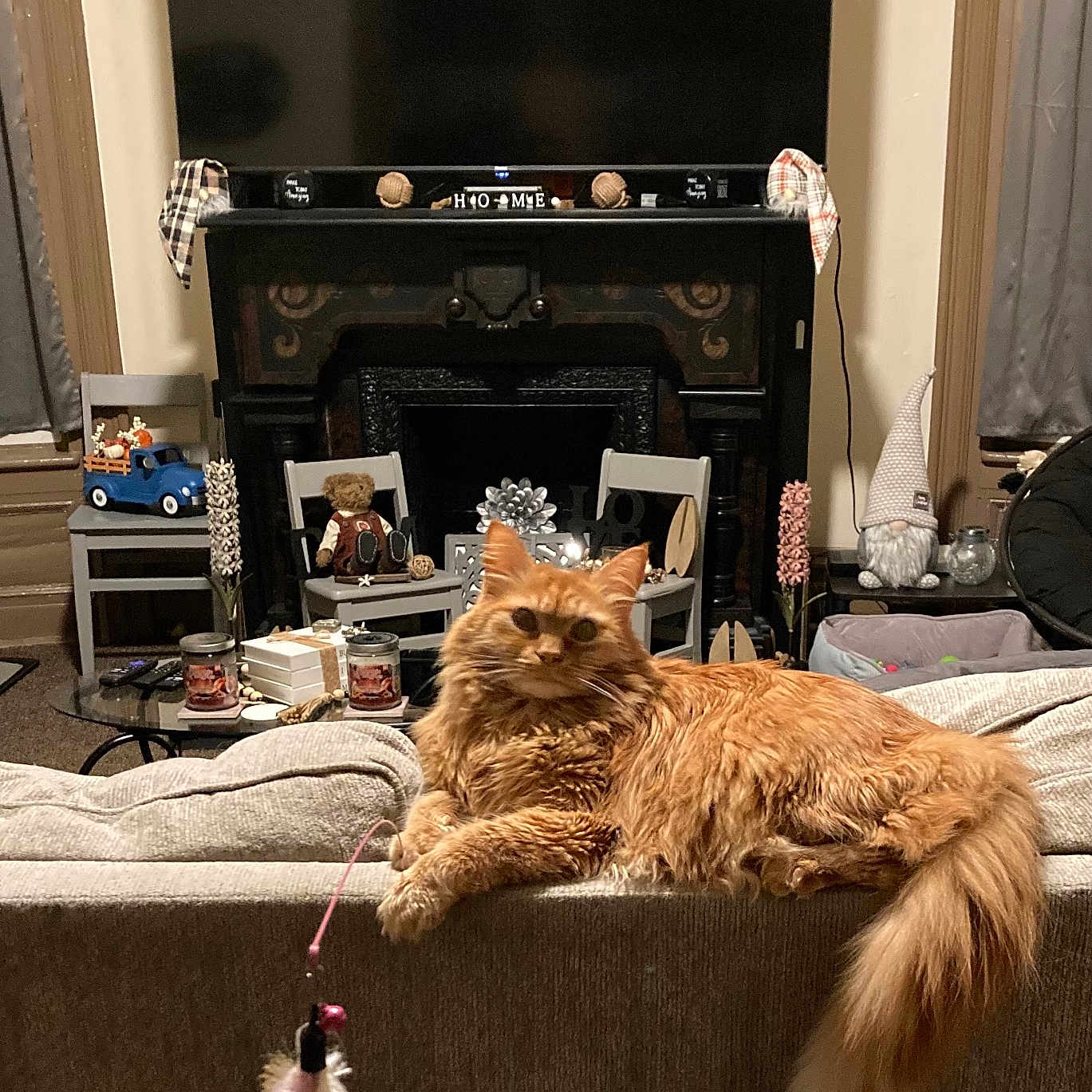 Tigger joined the competition — help win amazing prizes! cat, chair, couch, cozy, decor, feather_toy, feline, fireplace, fluffy, furniture, gnome, home, indoor, living_room, orange_cat, pet, relaxed, tail, toy, window