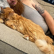 Tigger joined the competition — help win amazing prizes! man, beard, tattoo, cat, orange_cat, couch, gray_couch, relaxing, sleeping_cat, indoor, casual_clothing, tank_top, furry, pet, resting, cozy, closeup, home, comfort, friendship