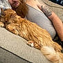 man, beard, tattoo, cat, orange_cat, couch, gray_couch, relaxing, sleeping_cat, indoor, casual_clothing, tank_top, furry, pet, resting, cozy, closeup, home, comfort, friendship