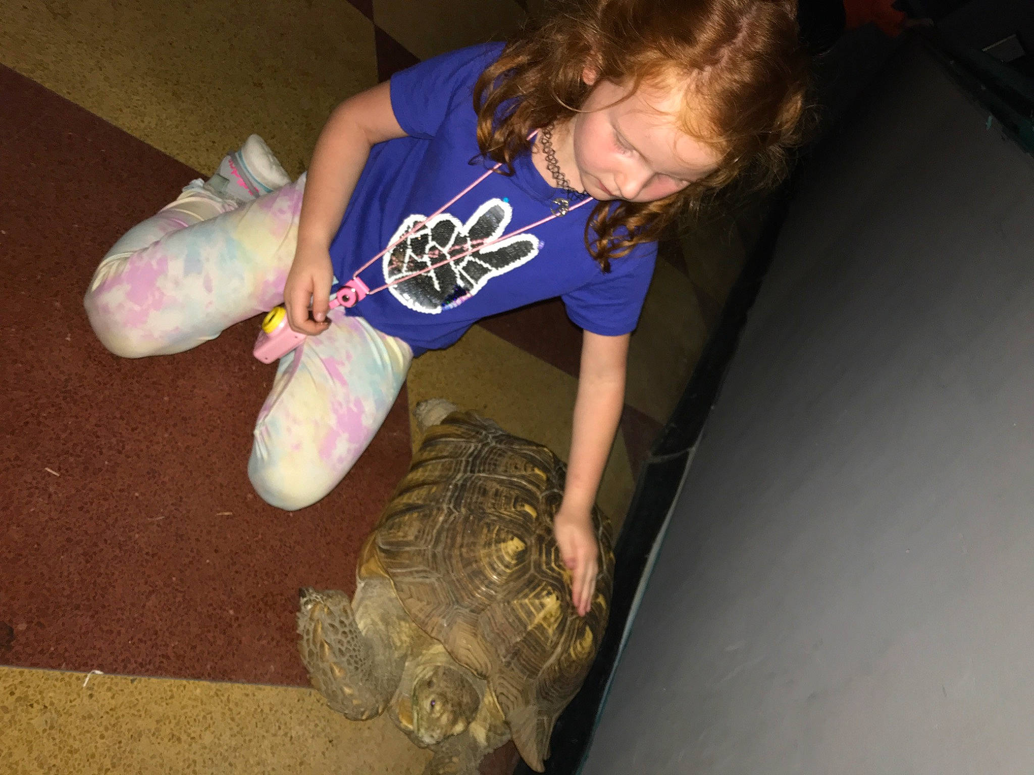 Elly joined the competition — help win amazing prizes! carmine, elbow, electric_blue, finger, flooring, foot, fun, hair, human_leg, knee, leg, outdoor_shoe, person, reptile, sitting, sneakers, t_shirt, thigh, toddler, walking_shoe