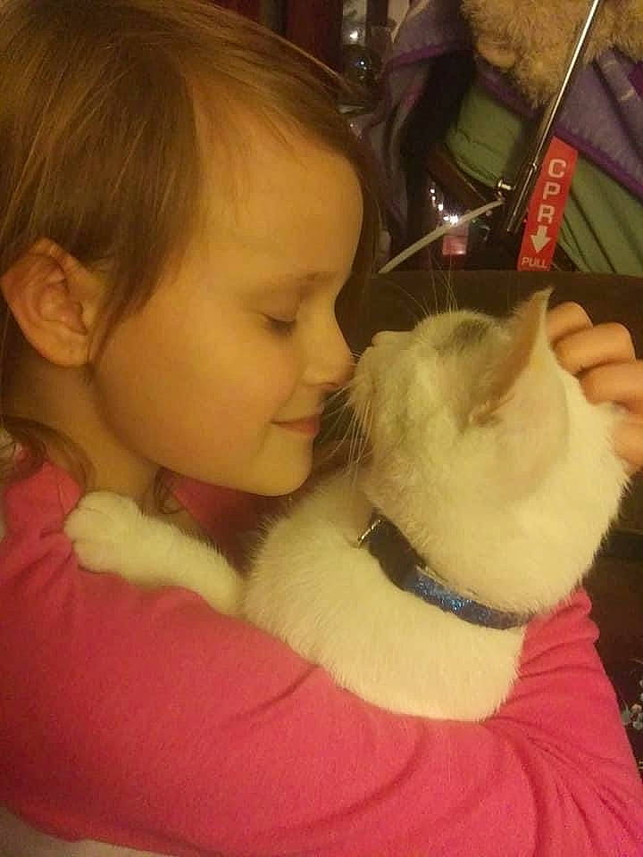 Layla Elyse joined the competition — help win amazing prizes! carnivore, cat, comfort, companion_dog, ear, eyelash, fawn, felidae, finger, gesture, happy, head, lap, mammal, mouth, nose, person, skin, small_to_medium_sized_cats, vertebrate