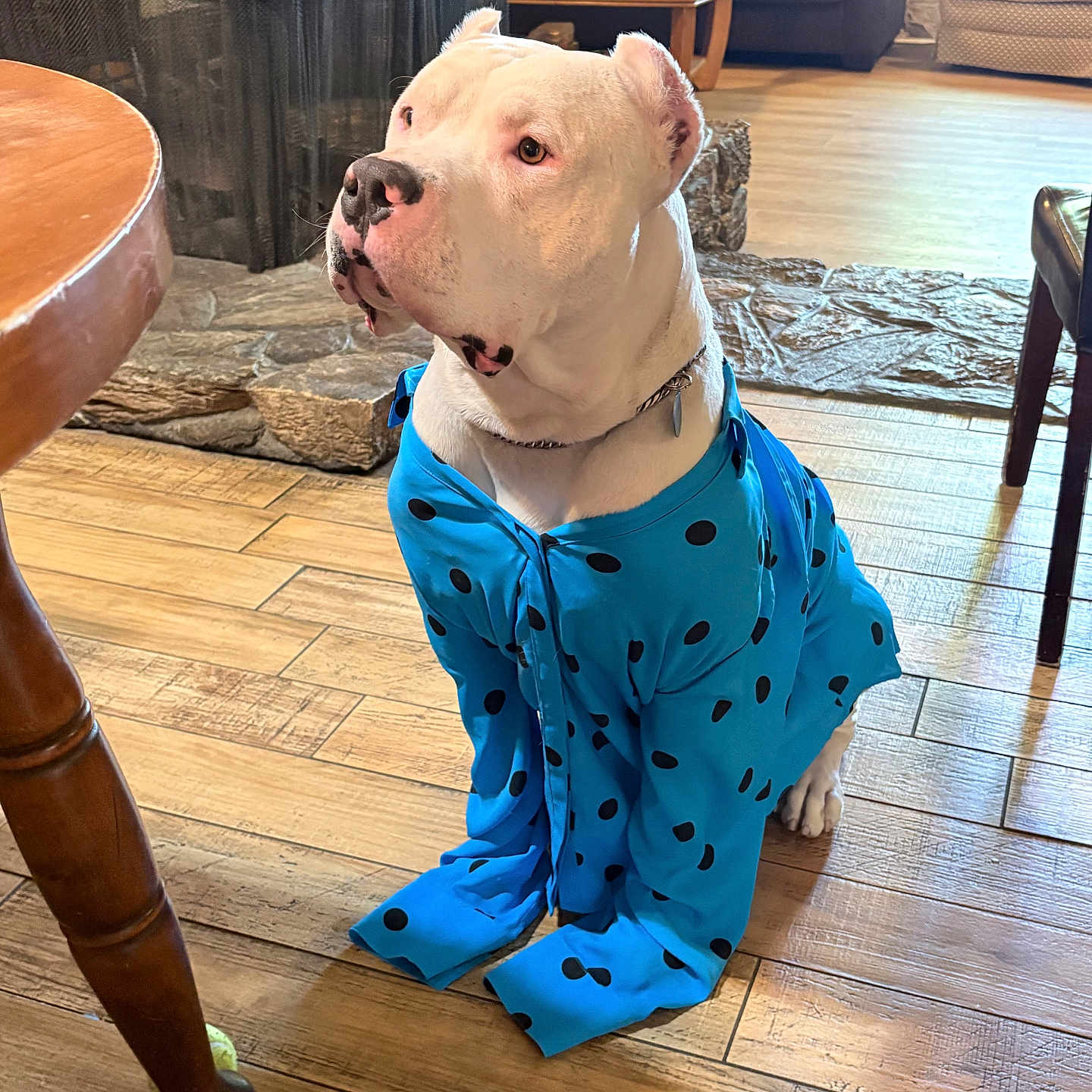 Boy