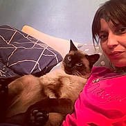 Trouduc participe au concours pour gagner de l'argent avec cette photo : person, cat, siamese_cat, indoor, couch, pillow, relaxed, pet, animal, casual, portrait, furniture, home, comfort, resting, looking, pink_shirt, blue_pillow, closeup, companion
