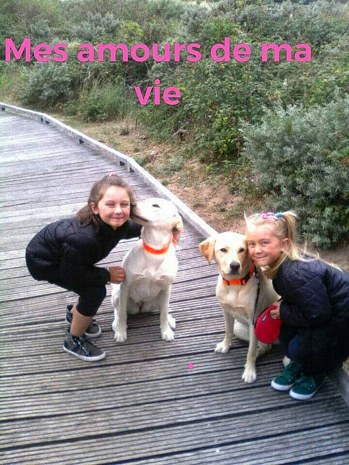 Maelya participe au concours pour gagner de l'argent avec cette photo : adventure, canidae, carnivore, companion_dog, dog, dog_breed, dog_walking, headwear, joy, leash, mammal, obedience_training, pembroke_welsh_corgi, person, photo_caption, sporting_group, vertebrate, walking, welsh_corgi