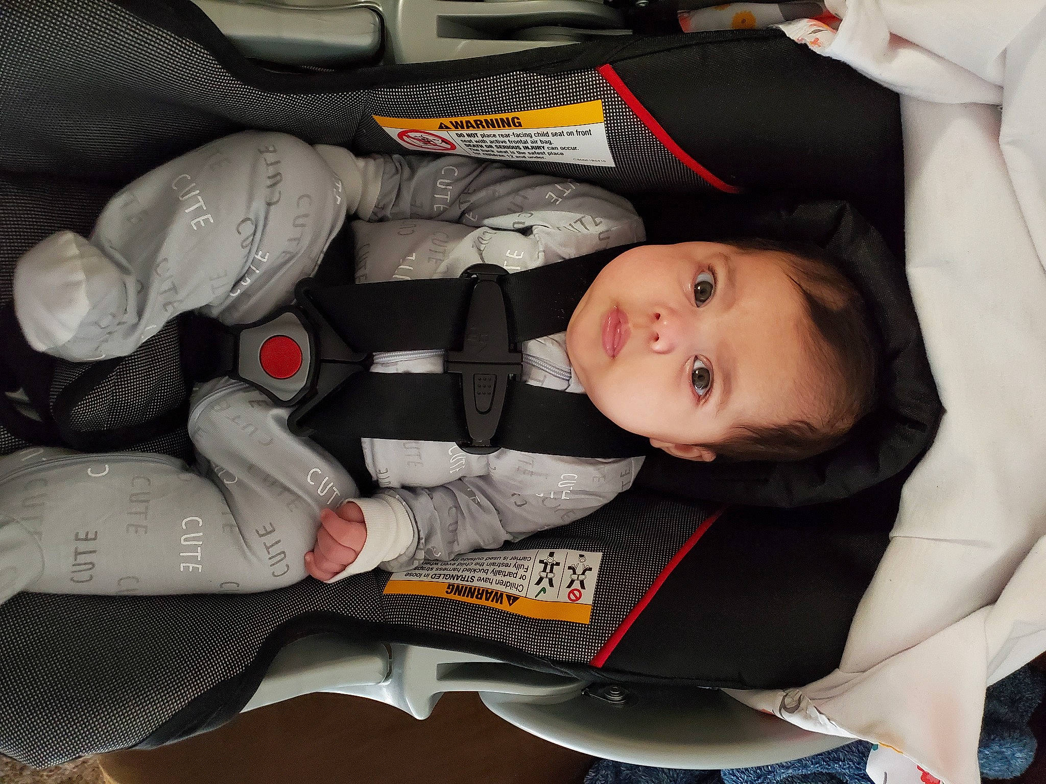 Anahi joined the competition — help win amazing prizes! auto_part, automotive_design, baby, baby_carriage, baby_in_car_seat, baby_products, baby_toddler_clothing, bag, car_seat, carmine, child, comfort, finger, lap, motor_vehicle, person, personal_protective_equipment, plastic, sitting, smile