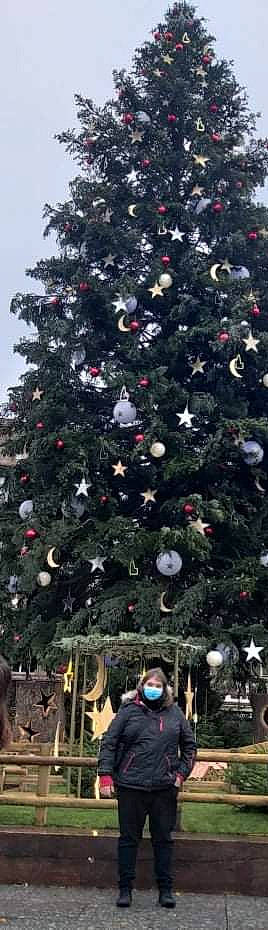 Tiago participe au concours pour gagner de l'argent avec cette photo : blurred, branch, christmas, christmas_decoration, christmas_eve, christmas_ornament, christmas_tree, event, evergreen, holiday, holiday_ornament, larch, leaf, ornament, person, plant, shrub, tints_and_shades, tree, twig