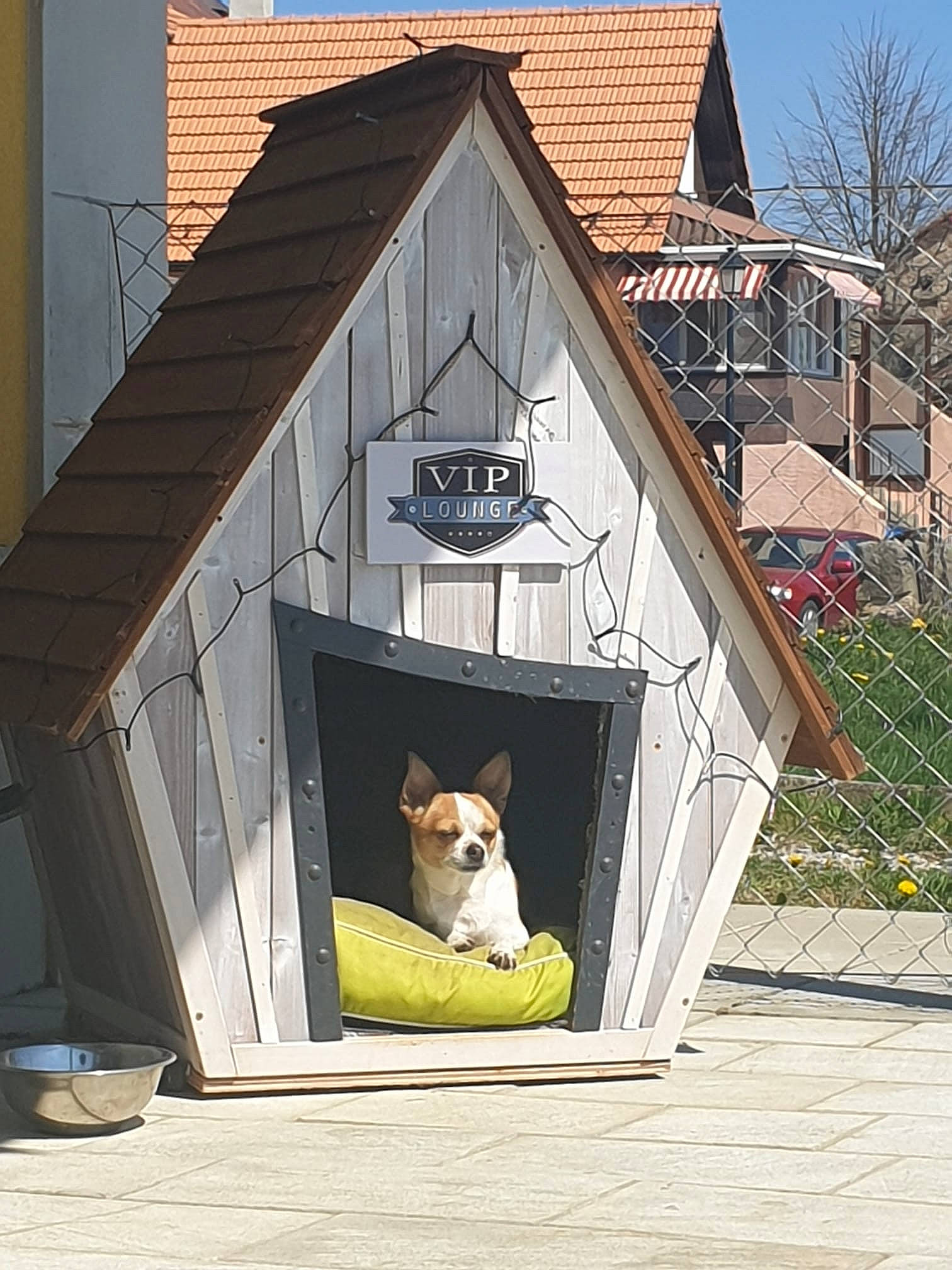 Liloo participe au concours pour gagner de l'argent avec cette photo : building, carnivore, companion_dog, cottage, dog, dog_breed, dog_supply, door, facade, fawn, fence, house, pet_supply, plant, roof, siding, tree, window, wood, working_animal