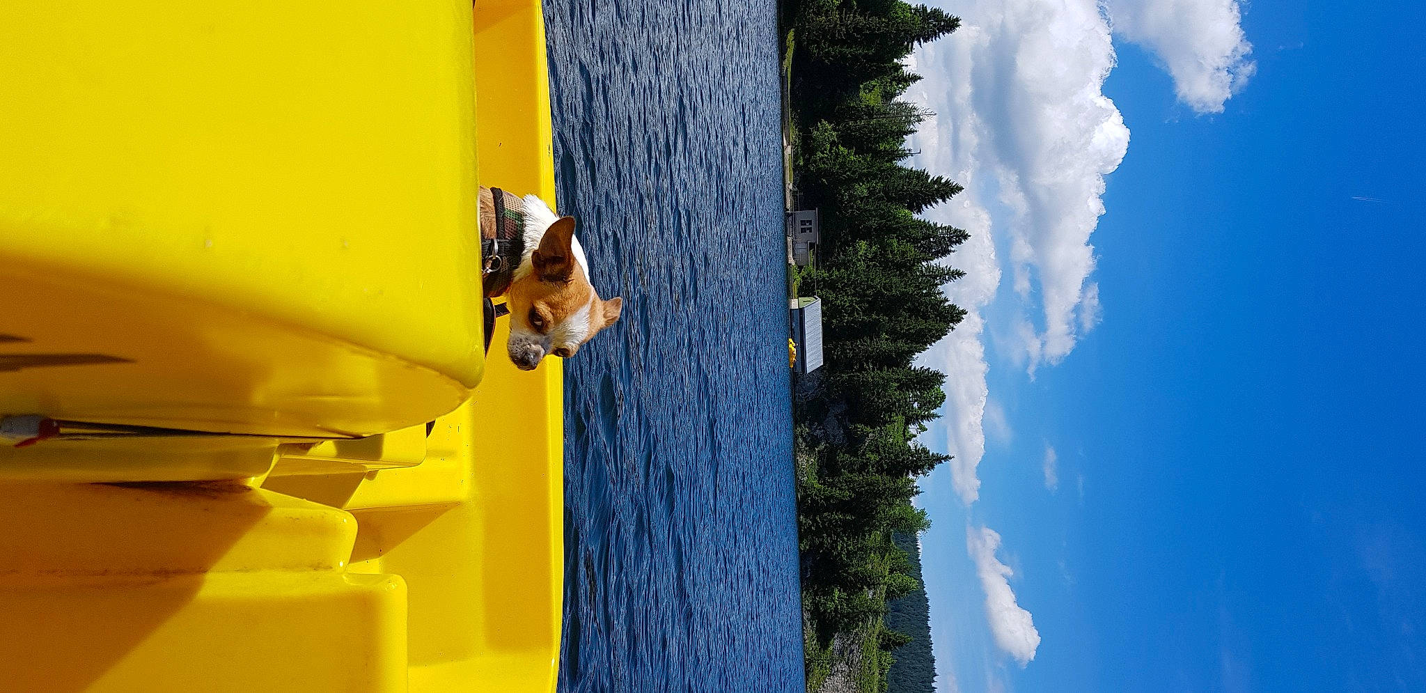Liloo participe au concours pour gagner de l'argent avec cette photo : adventure, blue, boat, carnivore, cloud, dog, electric_blue, fun, house, lake, leisure, line, plant, recreation, sky, tree, water, watercraft, wood, yellow