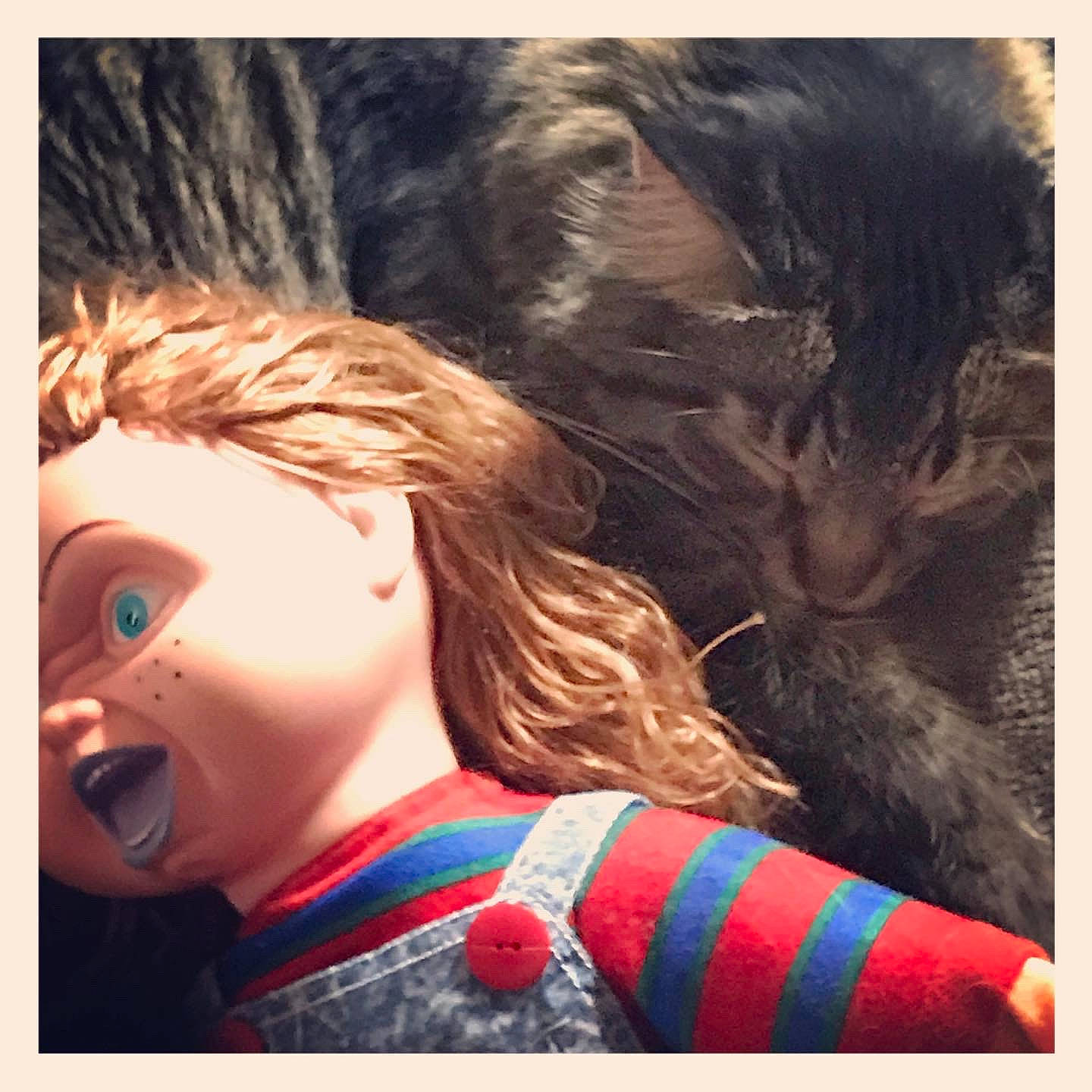 Rocket is registered to the contest to win money with this photo: art, audio_equipment, cg_artwork, child, cool, doll, electronic_device, eyelash, eyewear, fictional_character, gesture, happy, illustration, love, mammal, painting, selfie, toy, visual_arts, whiskers