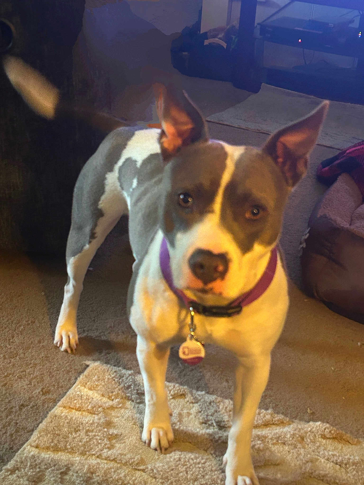 Skylar Blu