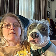 Skylar Blu joined the competition — help win amazing prizes! animal, casual, closeup, collar, companion, couch, curtains, dog, domestic, face, floral_print, glasses, home, indoor, light, pet, portrait, relaxed, woman, yellow_shirt