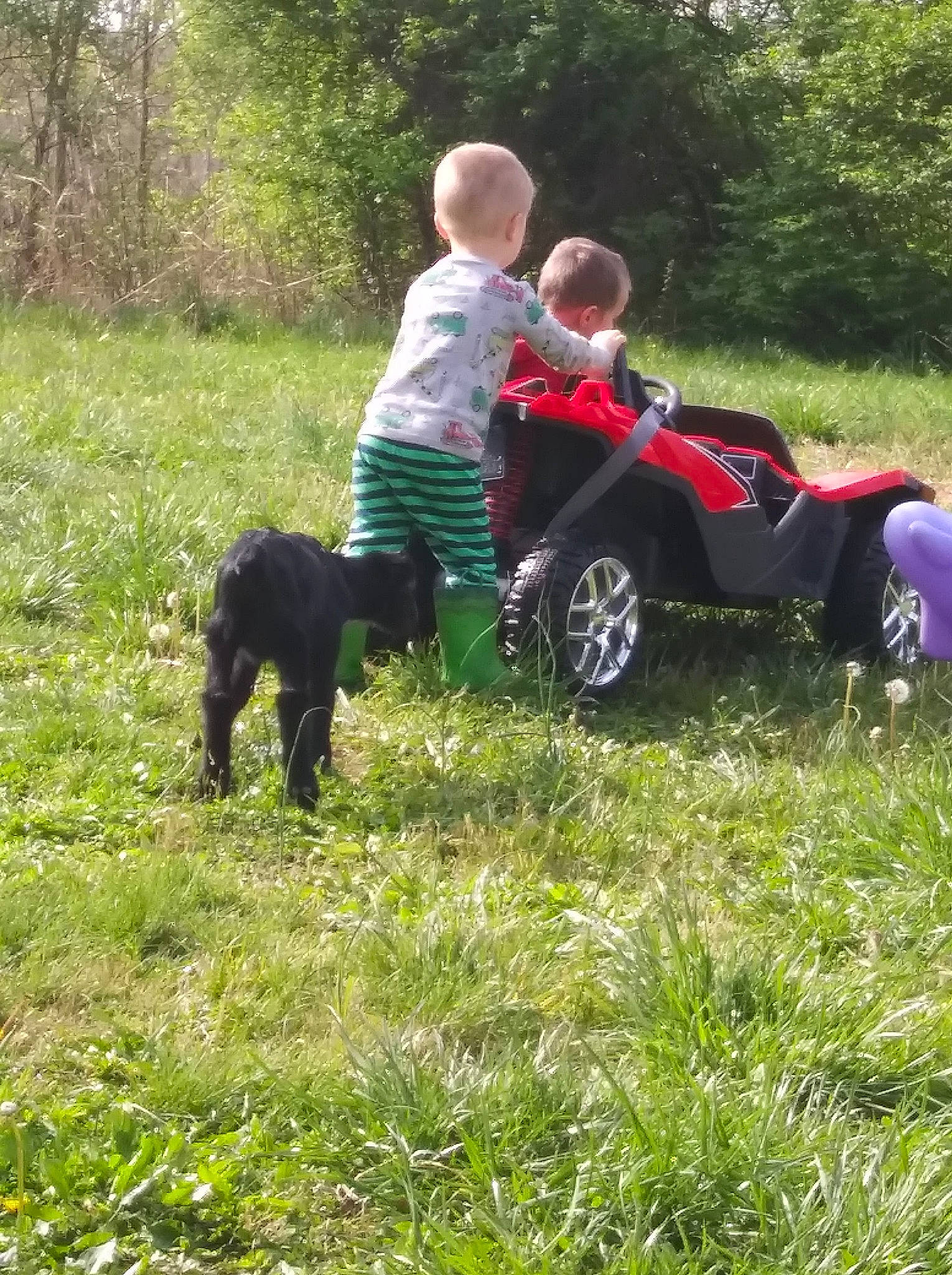 Elias joined the competition — help win amazing prizes! automotive_tire, automotive_wheel_system, fender, grass, grassland, jeans, landscape, motor_vehicle, outdoor_recreation, people_in_nature, person, plant, recreation, shorts, t_shirt, tire, toddler, tread, tree, vehicle