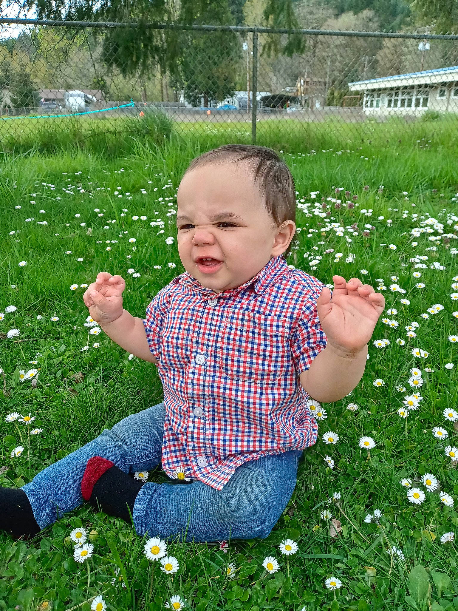 Oliver is registered to the contest to win money with this photo: annual_plant, baby, baby_toddler_clothing, botany, child, flower, flowering_plant, grass, green, groundcover, happy, lawn, leaf, leisure, meadow, people_in_nature, person, petal, plant, toddler