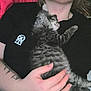 animal, black_shirt, cat, closeup, comfort, cuddle, cute, fur, hand, indoor, kitten, nap, person, pet, relaxation, resting, sleeping, soft, striped, tattoo
