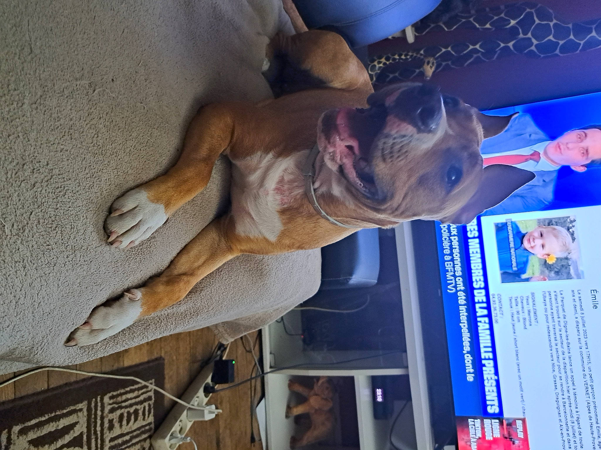 Yumi a rejoint le concours — aidez-le/la à gagner de superbes lots ! electric_blue, event, fawn, fish, gesture, jaw, sculpture, statue, water, wrinkle