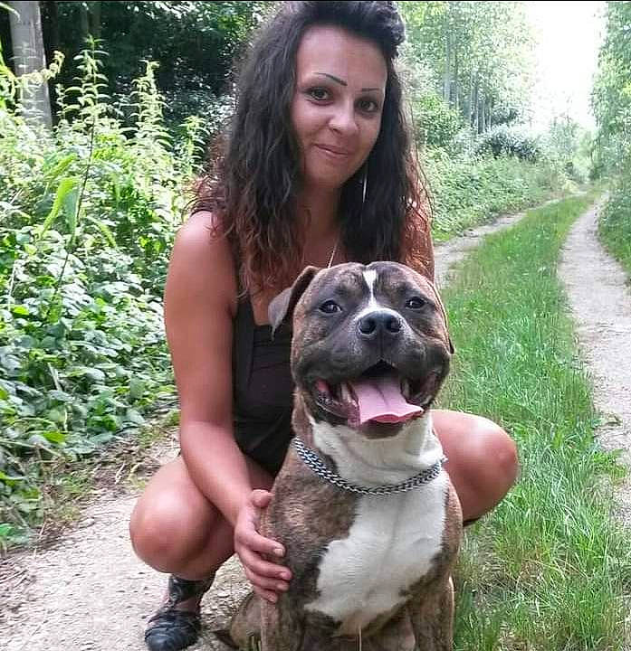 Izi a rejoint le concours — aidez-le/la à gagner de superbes lots ! canidae, carnivore, collar, companion_dog, dog, dog_breed, dog_collar, fawn, grass, guard_dog, happy, hunting_dog, molosser, non_sporting_group, plant, smile, sporting_group, tree, wildlife_biologist, working_dog