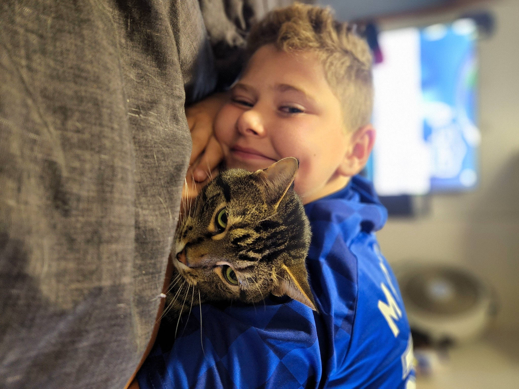 Lokie is registered to the contest to win money with this photo: brown_hair, carnivore, cat, child, domestic_short_haired_cat, electric_blue, felidae, fun, fur, happy, hug, human_body, portrait_photography, small_to_medium_sized_cats, smile, television, toddler, whiskers, wildlife