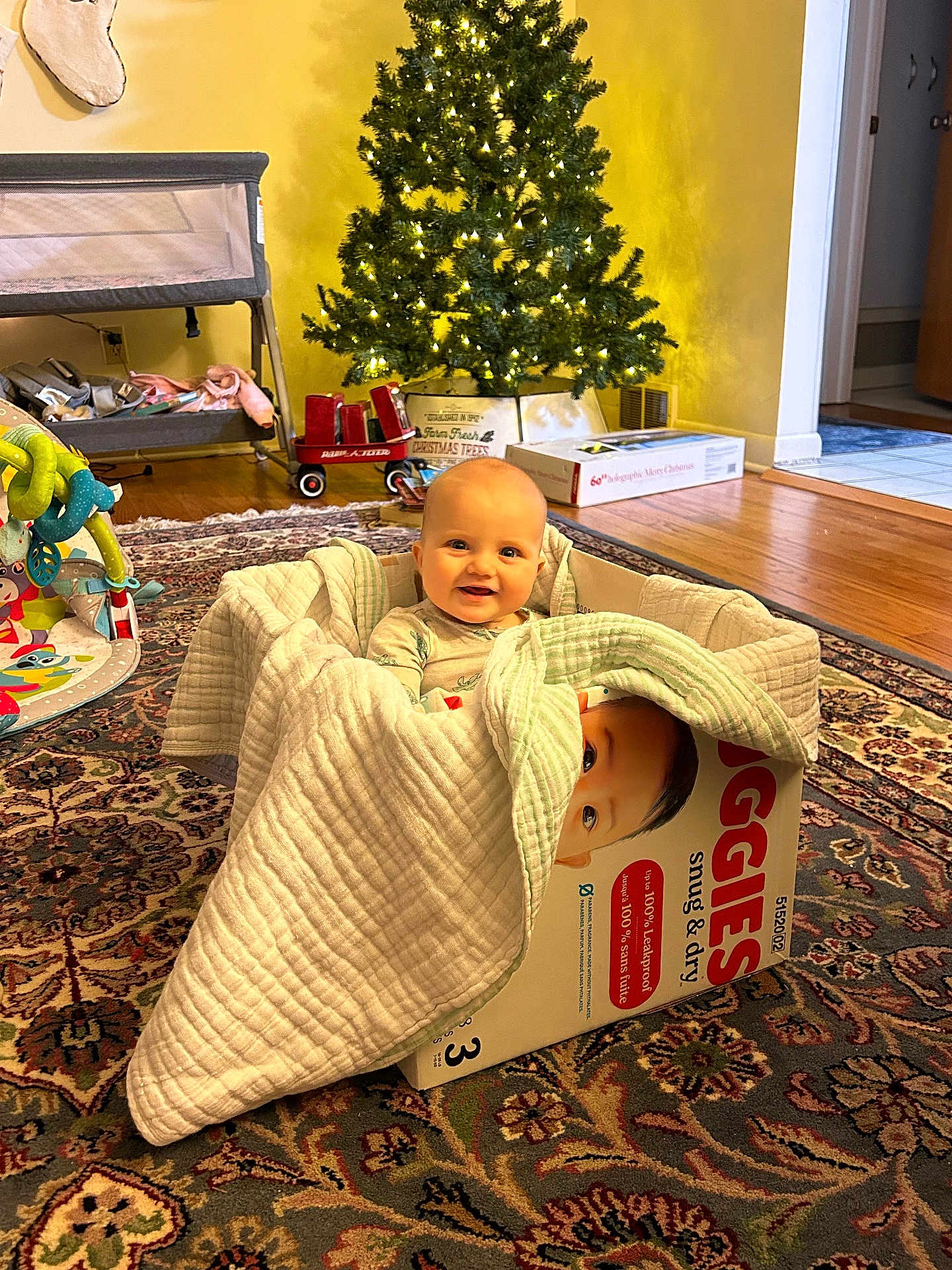 Lauren joined the competition — help win amazing prizes! baby, blanket, box, carpet, child, christmas_tree, diaper_box, floor, furniture, indoors, living_room, play_area, rug, smiling, soft_toys, toy, wooden_floor, warm_lighting, wrapped, young_child