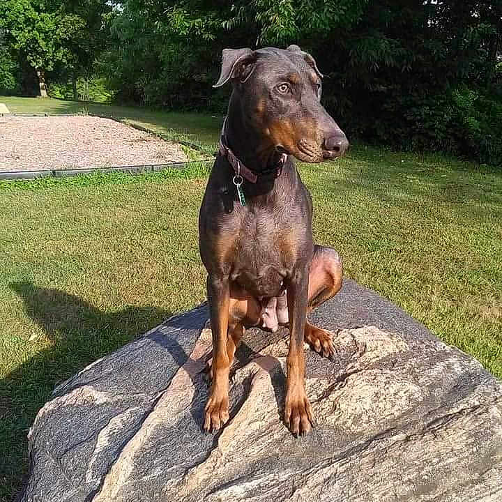 Mia
