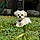 Henry