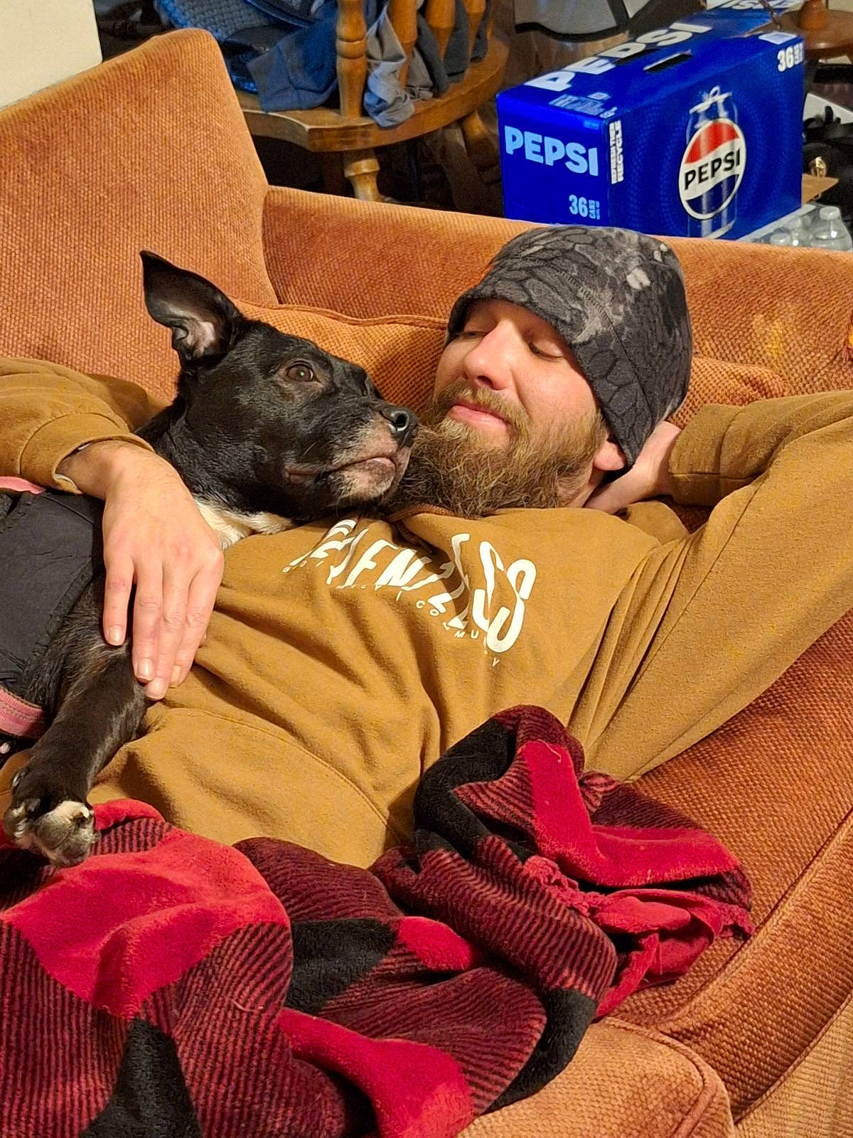 Millie is registered to the contest to win money with this photo: beard, canidae, carnivore, comfort, companion_dog, couch, dog, dog_breed, event, fawn, fur, guard_dog, hat, lap, linens, nap, sitting, smile, sporting_group, toy_dog