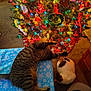 animal, blue_pattern, carpet, cat, cats, christmas_tree, colorful_lights, cozy, decorations, feline, festive, holiday_decor, home, indoor, ornaments, pets, relaxing, snowflake_pattern, two_cats, wrapped_gift