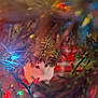 animal, blurred_foreground, cat, celebration, christmas, christmas_tree, colorful, cozy, curious, decorations, festive, holiday_lights, home, indoor, pet, pine_needles, playful, seasonal, soft_focus, tree_branch
