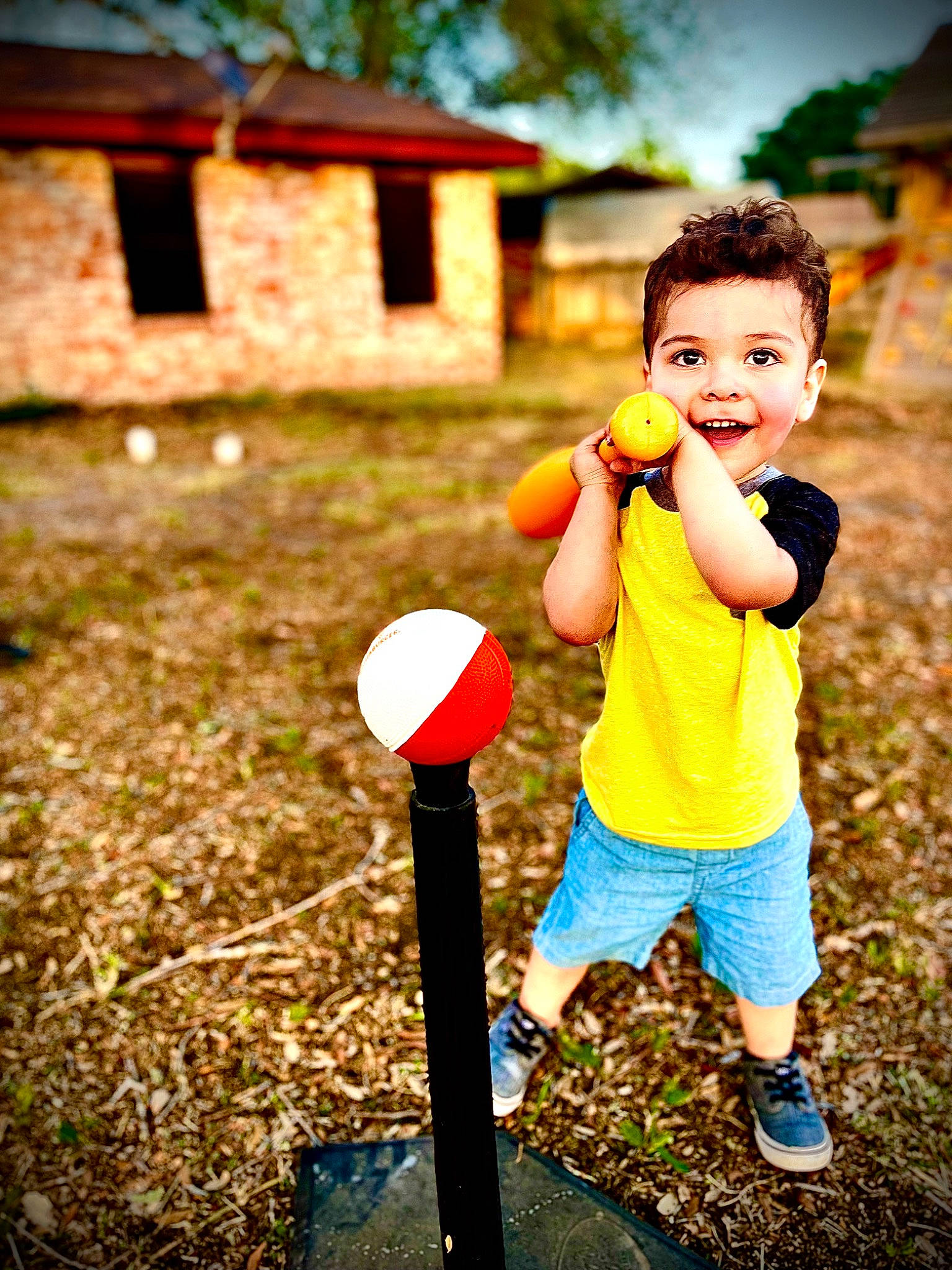 Brayden joined the competition — help win amazing prizes! child, flash_photography, fun, grass, happy, human_settlement, leisure, nature, people_in_nature, person, play, recreation, shorts, sitting, soil, spring, standing, sunlight, t_shirt, toddler
