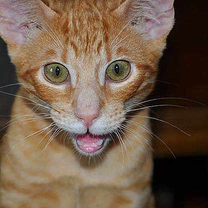 Gethen joined the competition — help win amazing prizes!