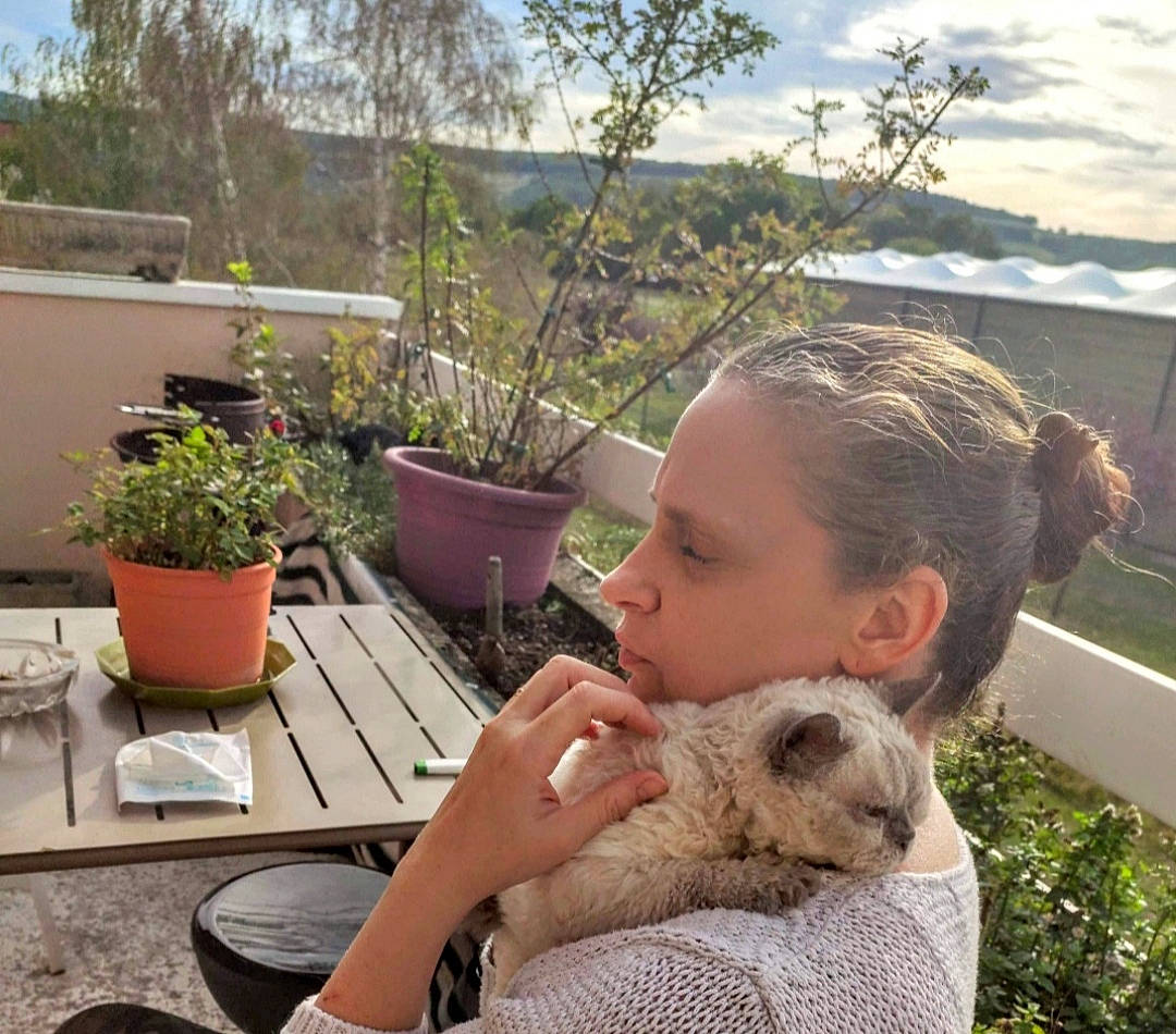 Mistigris a rejoint le concours — aidez-le/la à gagner de superbes lots ! canidae, carnivore, cloud, comfort, companion_dog, dog_breed, fawn, felidae, flowerpot, fur, grass, houseplant, landscape, leisure, plant, sky, sunglasses, tableware, tree, vacation