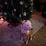 Chance joined the competition — help win amazing prizes! animal, brown_dog, carpet, celebration, christmas_tree, cute, decorations, dog, festive, floor, holiday, holiday_spirit, home, indoor, lights, ornaments, pet, seasonal, tree_skirt, white_dog