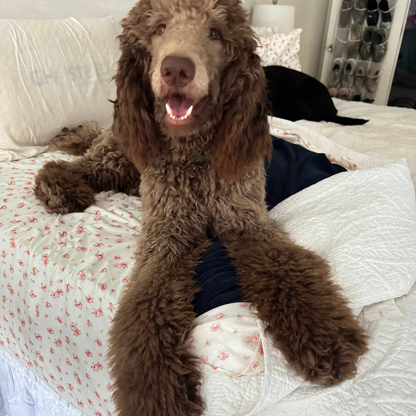 Archie