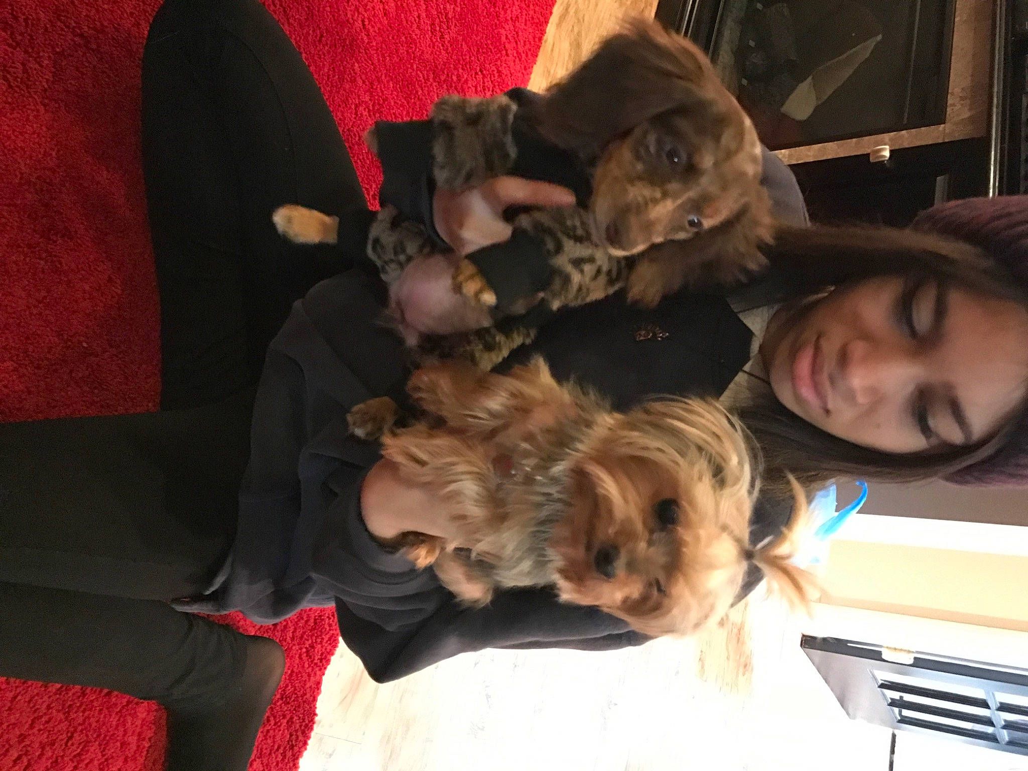 Mai joined the competition — help win amazing prizes! canidae, child, comfort, companion_dog, dog_breed, ear, fun, fur, hat, lap, room, sitting, sporting_group, tree