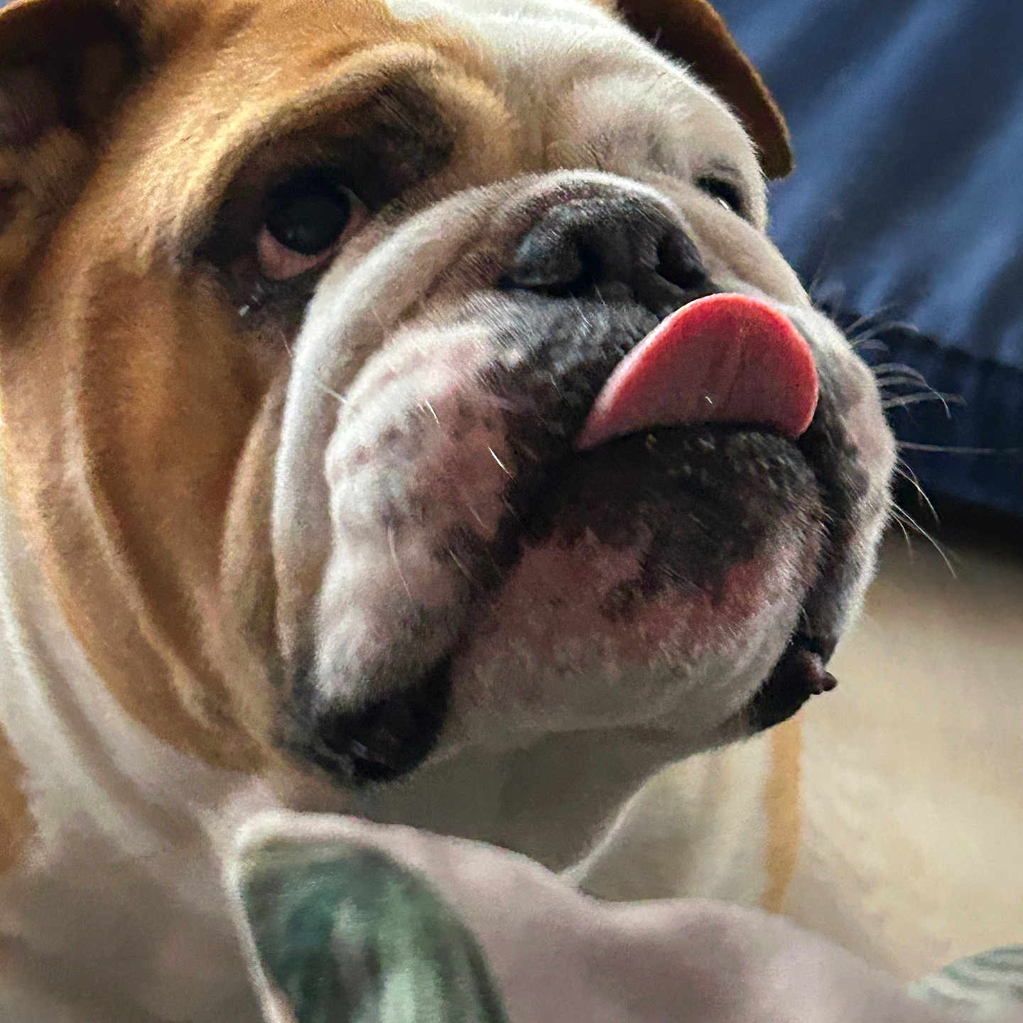 Oscar