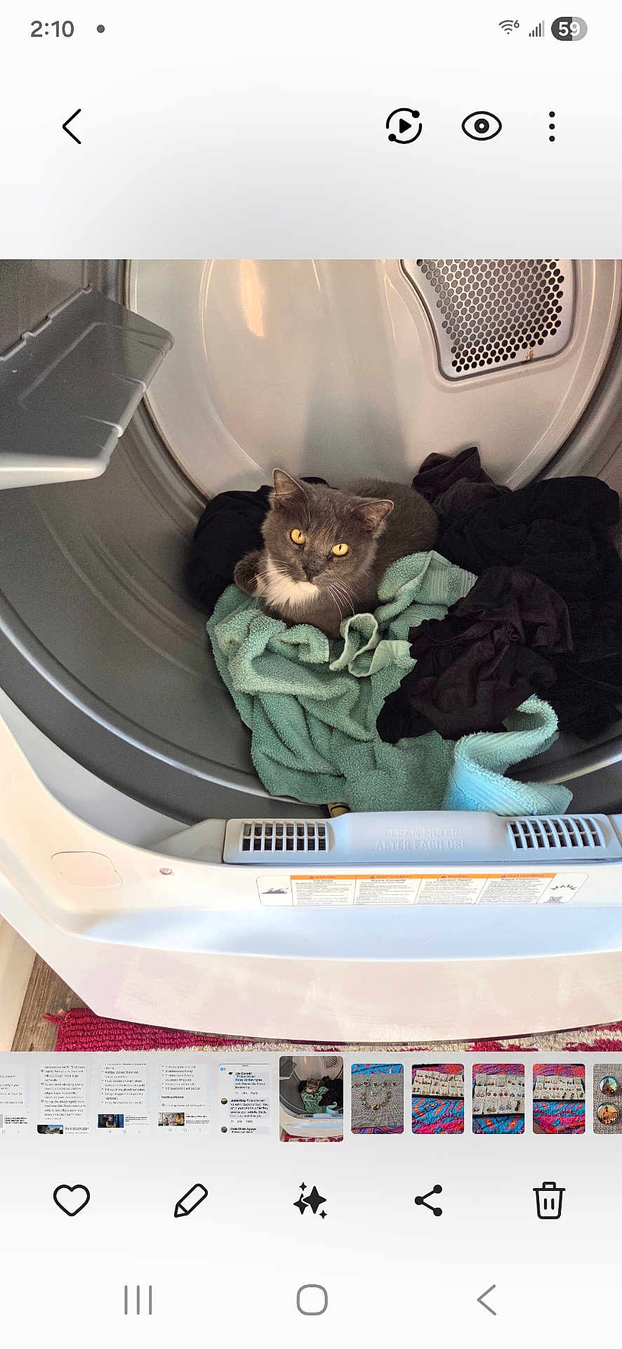 Boomba is registered to the contest to win money with this photo: appliance, cat, cleaning, clothes, cozy, curious, domestic_animal, dryer, fabric, fur, gray_cat, home, household, indoor, laundry, looking_up, pet, resting, towel, yellow_eyes