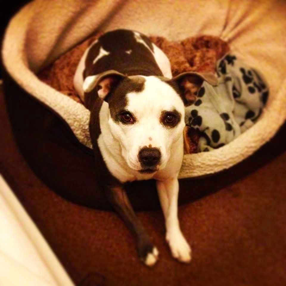 Sapphire is registered to the contest to win money with this photo: