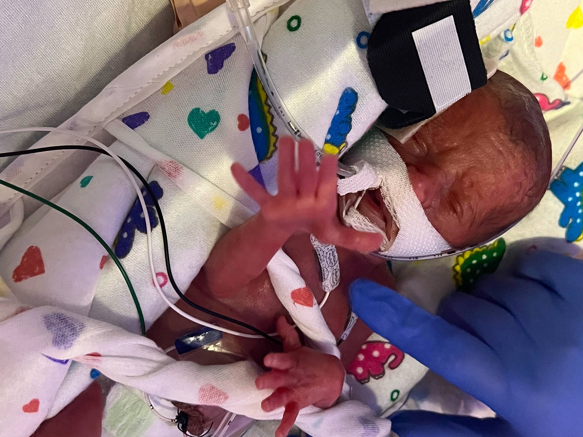 Cohen is registered to the contest to win money with this photo: art, carmine, chest, child, elbow, finger, foot, fun, gesture, hand, human_leg, leg, linens, nail, pattern, person, plastic, service, thigh, thumb