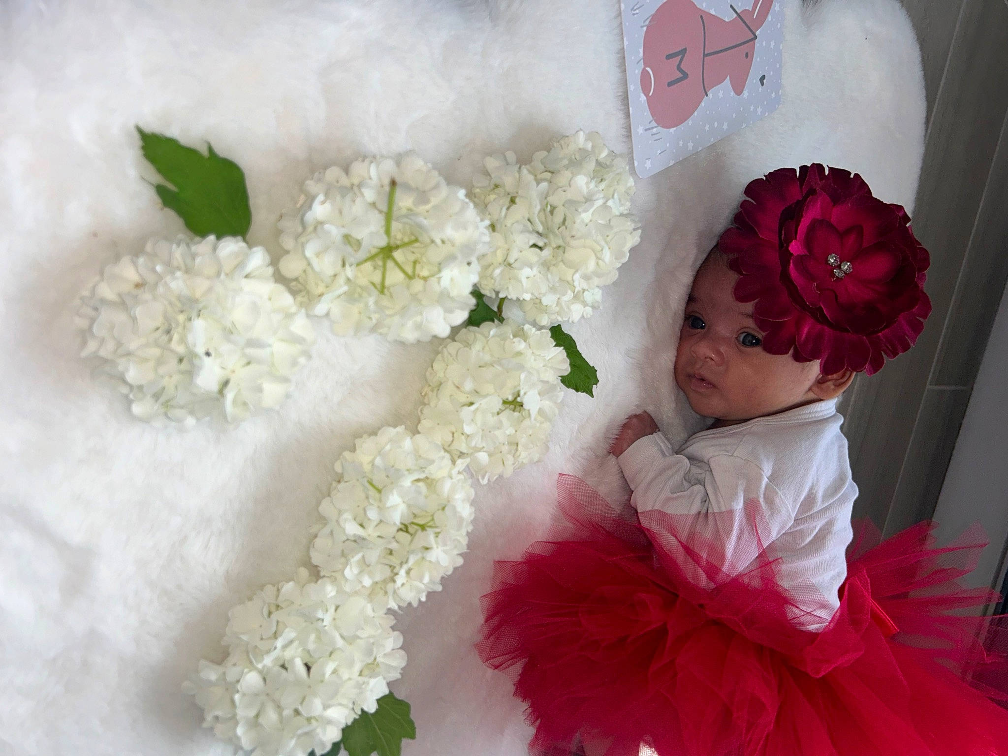 Rosalina a rejoint le concours — aidez-le/la à gagner de superbes lots ! artificial_flower, baby_toddler_clothing, bouquet, cut_flowers, floristry, flower, flower_arranging, flowering_plant, font, happy, headpiece, headwear, magenta, person, petal, pink, plant, rose, rose_family, rose_order