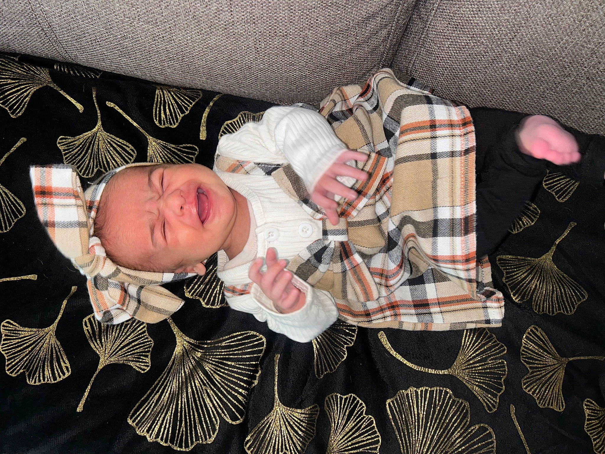 Rosalina a rejoint le concours — aidez-le/la à gagner de superbes lots ! baby, baby_products, baby_toddler_clothing, child, comfort, couch, fashion_accessory, hand, linens, pattern, person, plaid, room, sitting, sleeve, sorrow, tartan, textile, toddler, tree