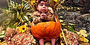 Sunniva joined the competition — help win amazing prizes! baby, pumpkin, fall_leaves, autumn, flowers, yellow_flowers, dried_grass, baby_clothing, headband, outdoor, fall_decor, baby_feet, nature, seasonal, cute, portrait, child, baby_face, thanksgiving, harvest